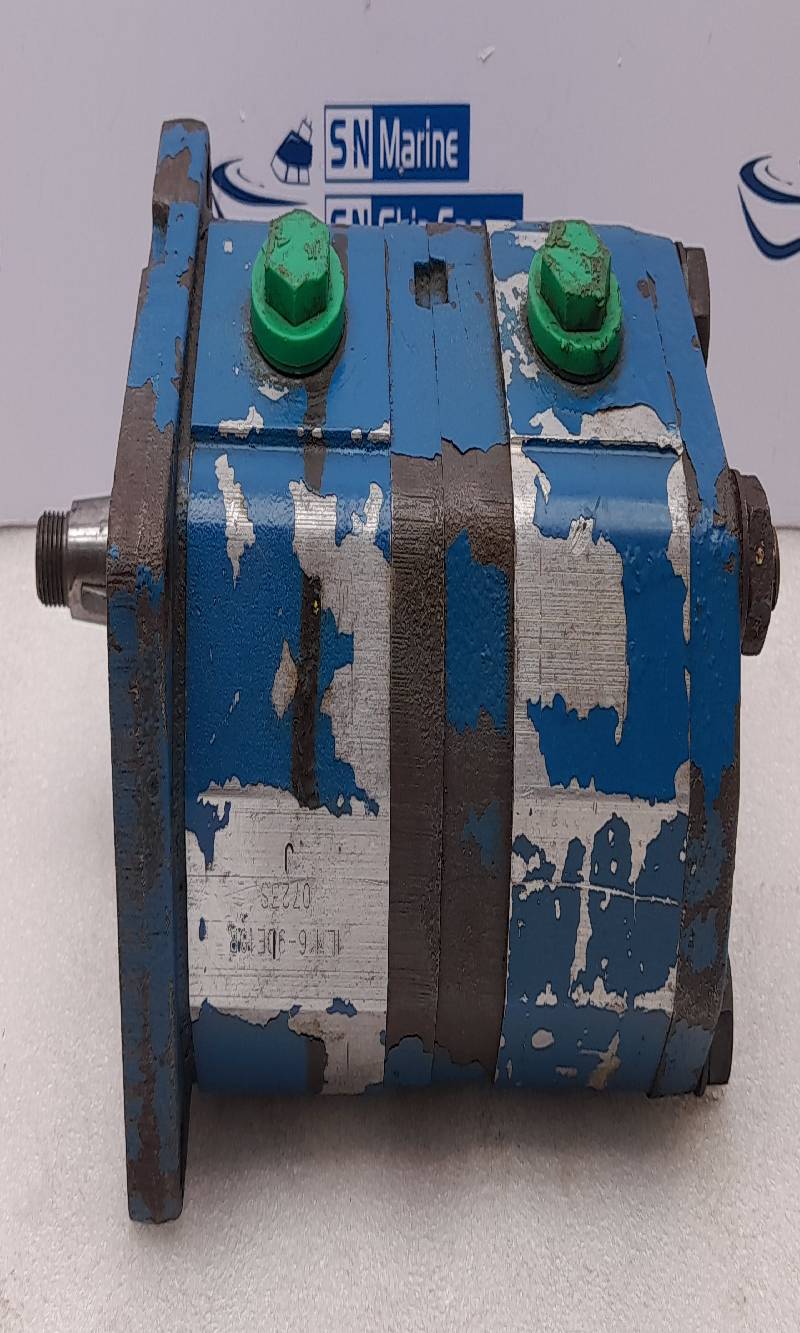 Roquet 1LM16-9IE10R Hydraulic Gear Pump 1LM169IE10R