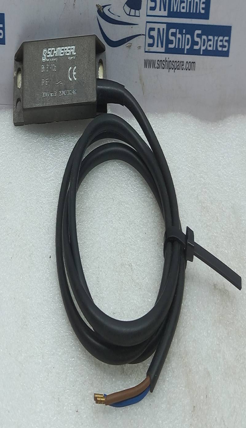 Schmersal BN 31-10Z Limit Switch IP 67 250VAC/DC (0.48A)