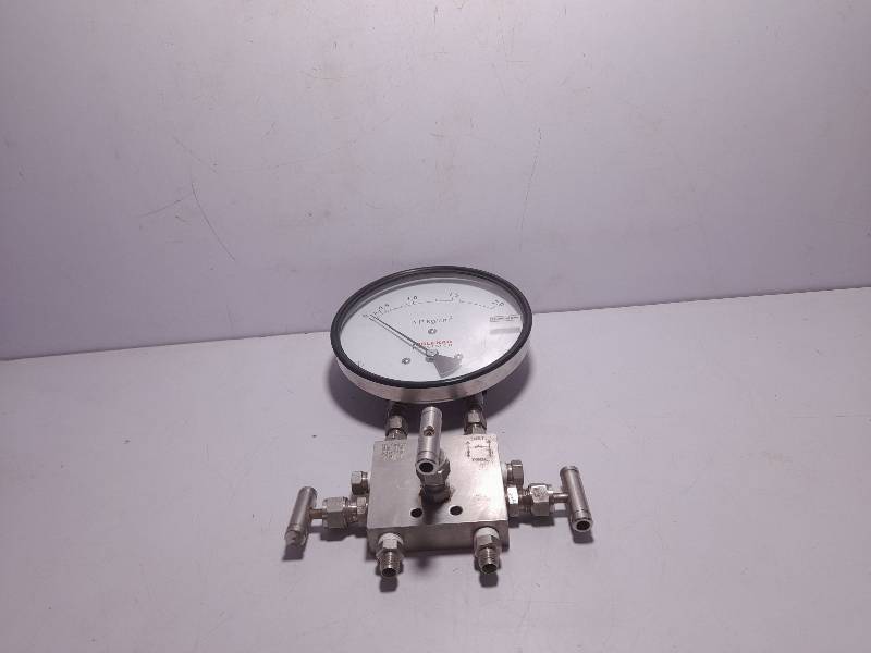 Hirlekar Precision WESMEC SS 316 Pressure Gauge / 3000 PSI / WESMECSS316