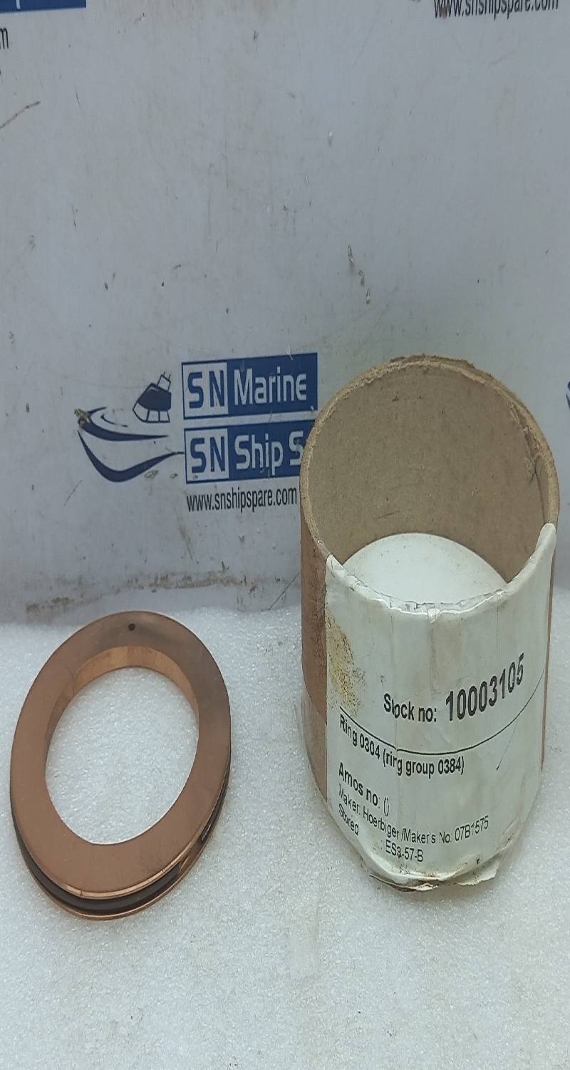 Hoerbiger 07B1575 Ring 0304 (Ring Group 0384) 4PCs In Lot