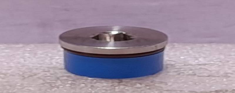 NOV Shaffer 2152092 Plug 12 in Sae Hollow Hex 316 Stainles