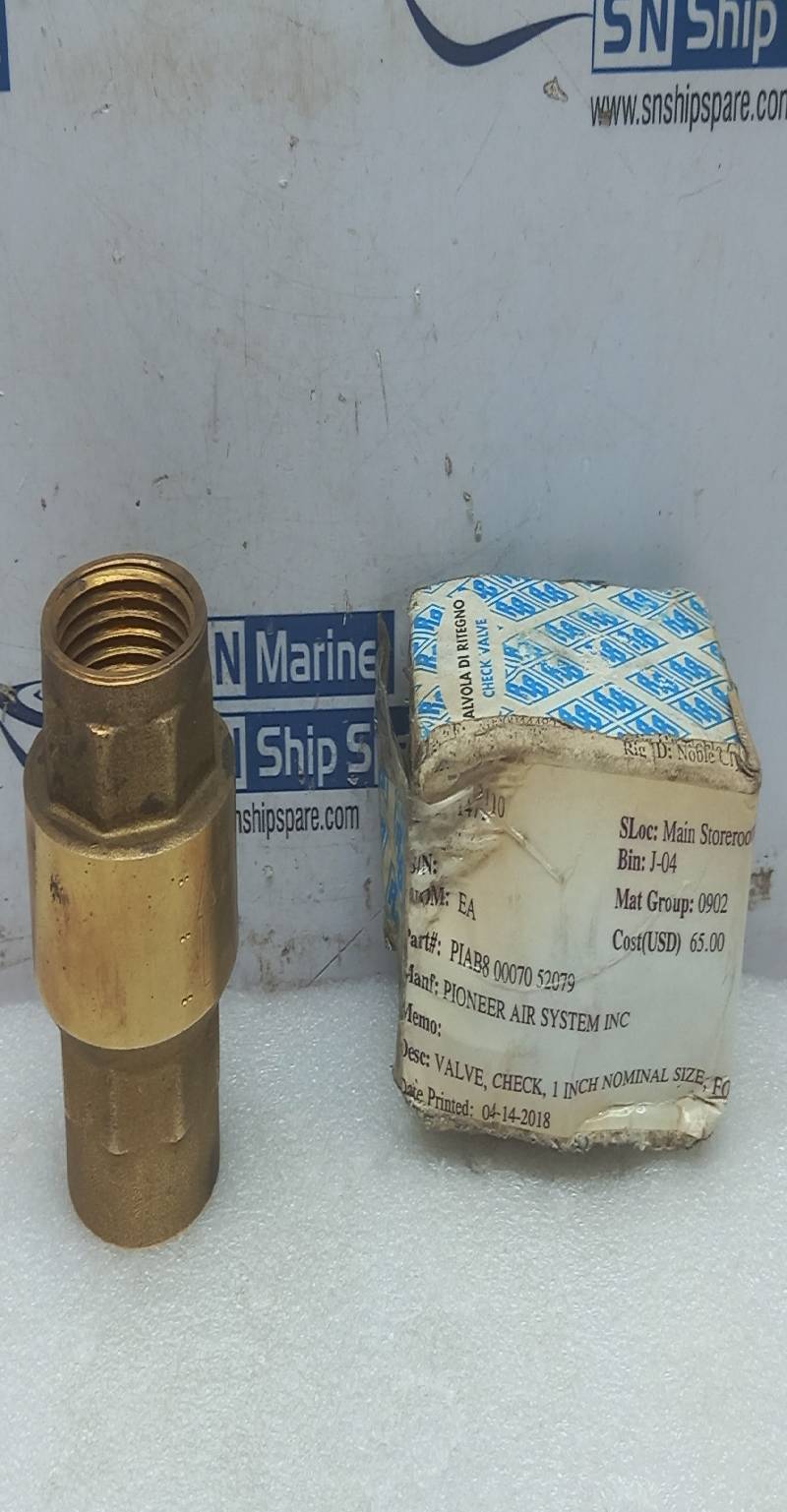 Euroblock 1” 400 WOG DN 25 Check Valve Pioneer Air Systems B8-00070-52079q