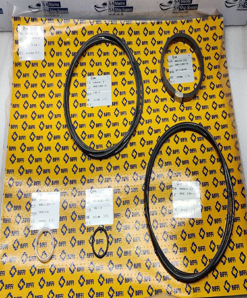 BIFFI 1.5C-1100-485CL-SK Seal Kit BIFFI 1,5C-1100-485CL-SK